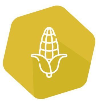 Якісний та кількісний експрес-тест CP4 EPSPS (Roundup Ready) для визначення ГМО в кукурудзі (100 тестів) EAID 102 фото